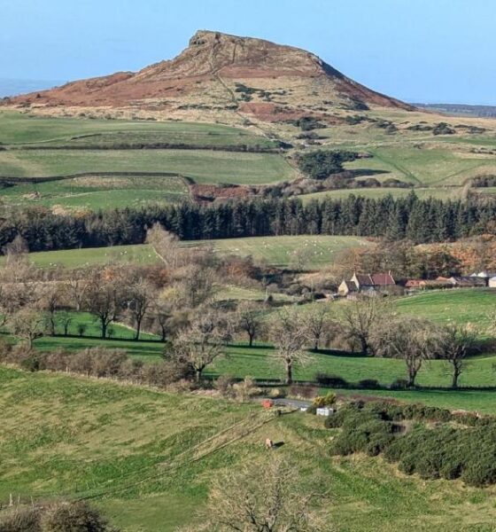 A walk through the North York Moors National Park