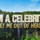 Who won I'm A Celebrity 2025? King of the Jungle confirmed