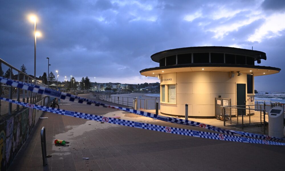 Father and son behind deadly Bondi terror attack