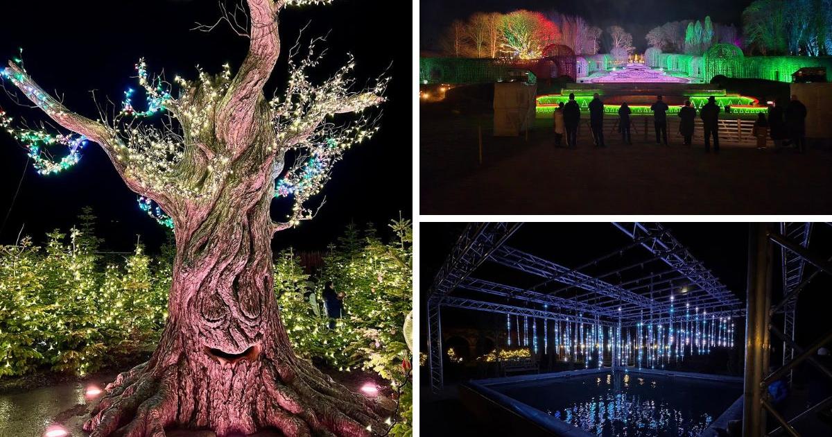 Northumberland Christmas light trail beyond magic named best