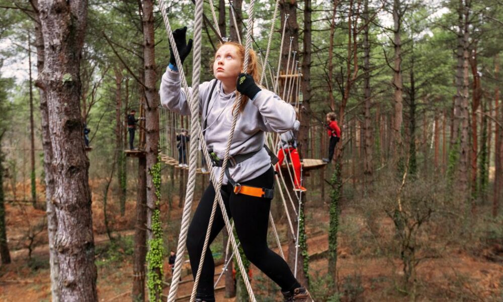 Chance for schoolchildren to win Go Ape experience