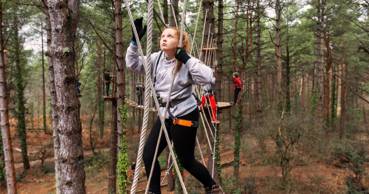 Chance for schoolchildren to win Go Ape experience