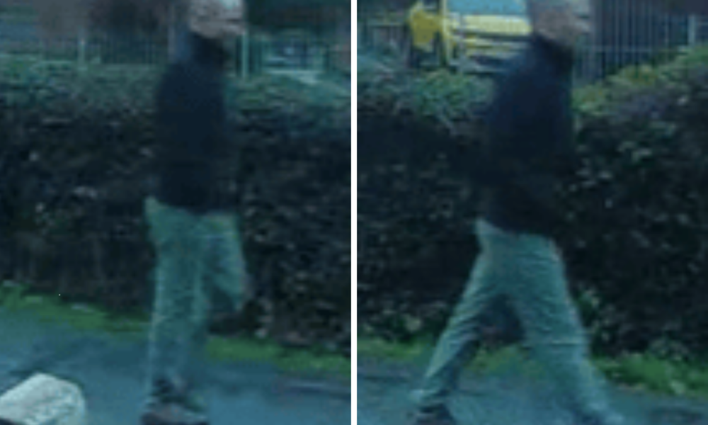 Police ‘concerned’ for welfare of missing North Yorkshire man