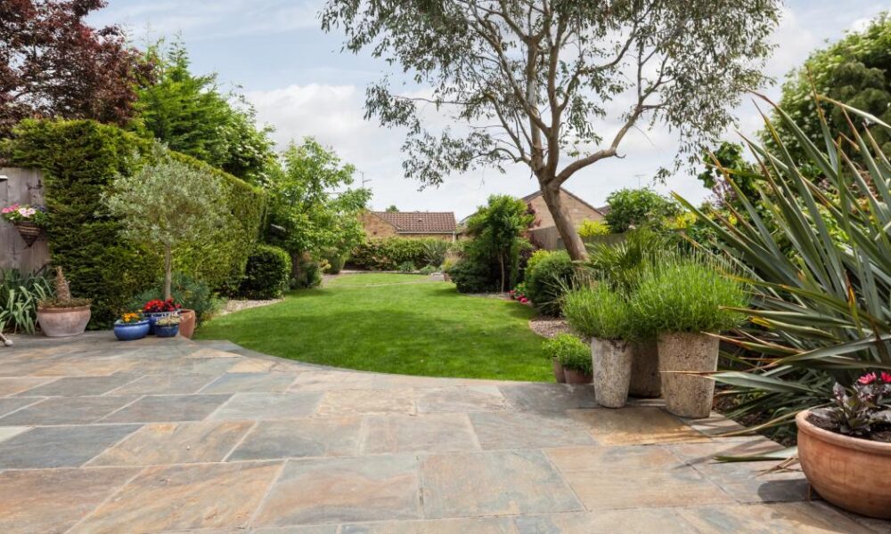 People urged to use washing powder in gardens to deter foxes