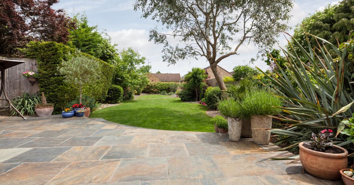 People urged to use washing powder in gardens to deter foxes