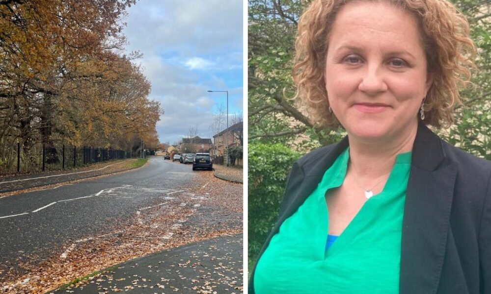 No wider risk to public after Foxwood dog attack, says cllr
