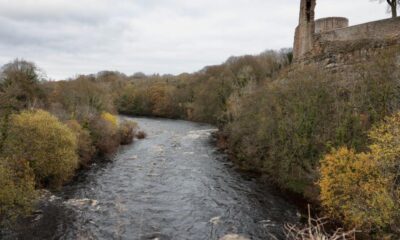 Elderly woman dies after entering river at Barnard Castle