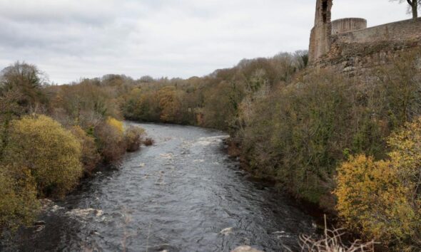 Elderly woman dies after entering river at Barnard Castle