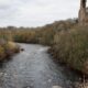 Elderly woman dies after entering river at Barnard Castle