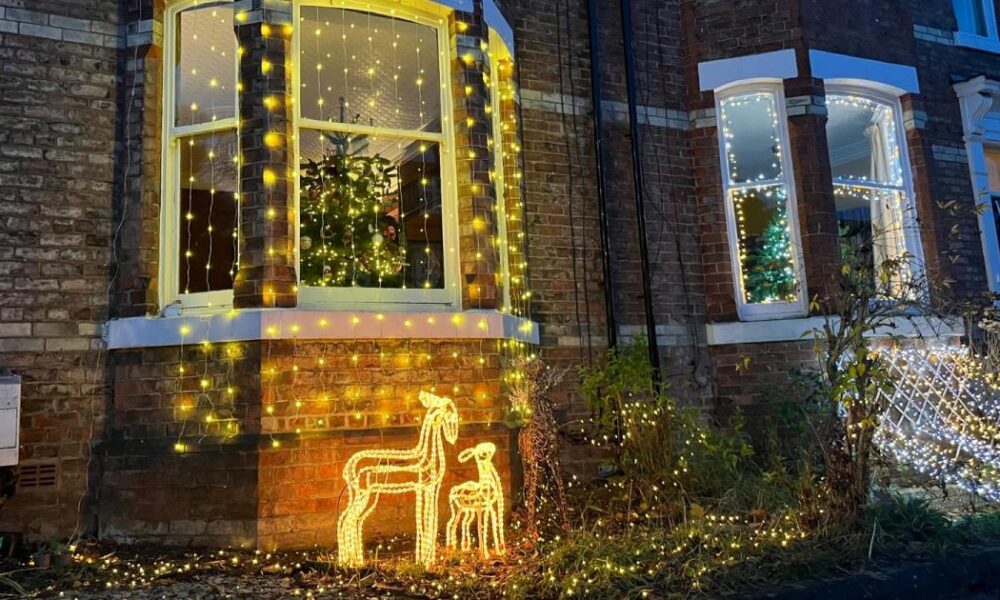 Stanhope Road in Darlington looking festive for Christmas