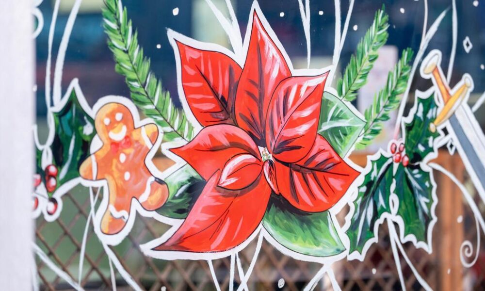 Sunderland city centre transformed with festive window trail