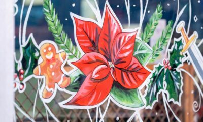 Sunderland city centre transformed with festive window trail