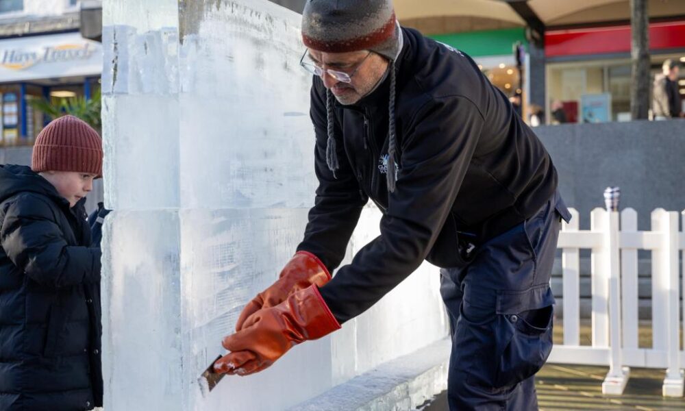 Pictures: Delight for Darlington Ice Sculpture Trail 2025