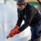 Pictures: Delight for Darlington Ice Sculpture Trail 2025