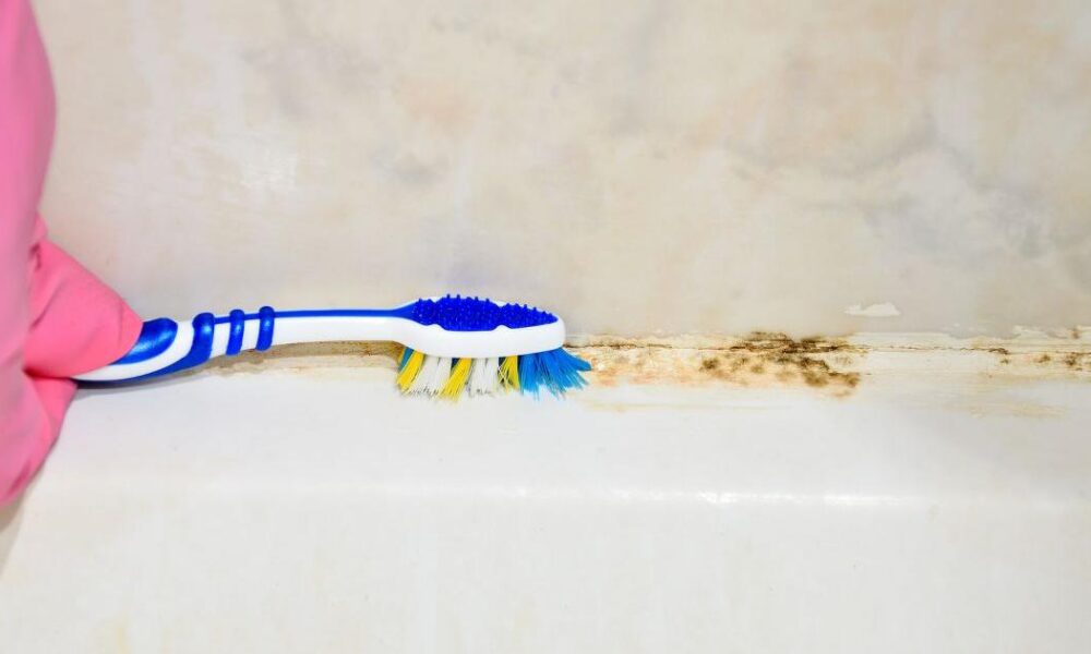 35p kitchen staple removes surface level bathroom mould