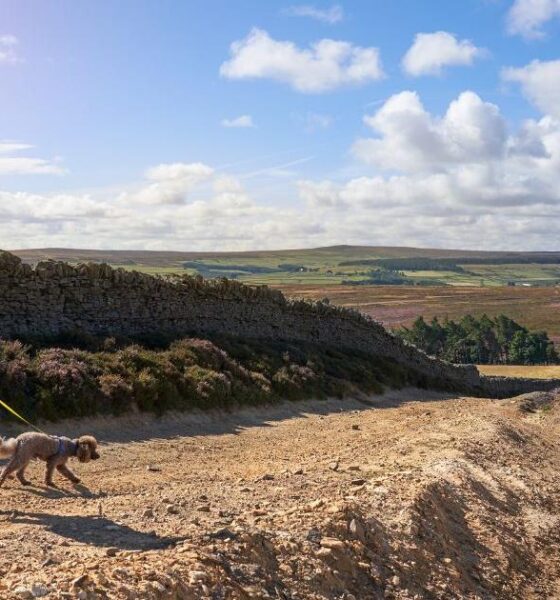 County Durham villages and towns in new Roof of England walk