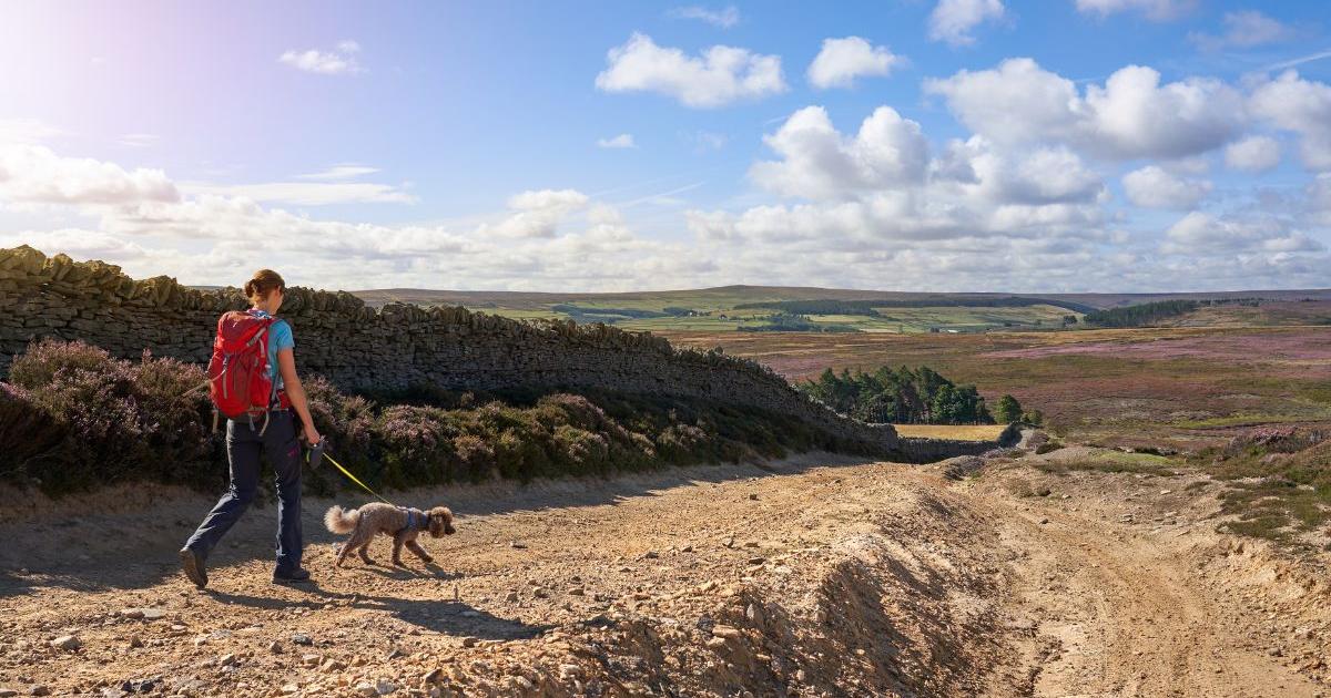 County Durham villages and towns in new Roof of England walk