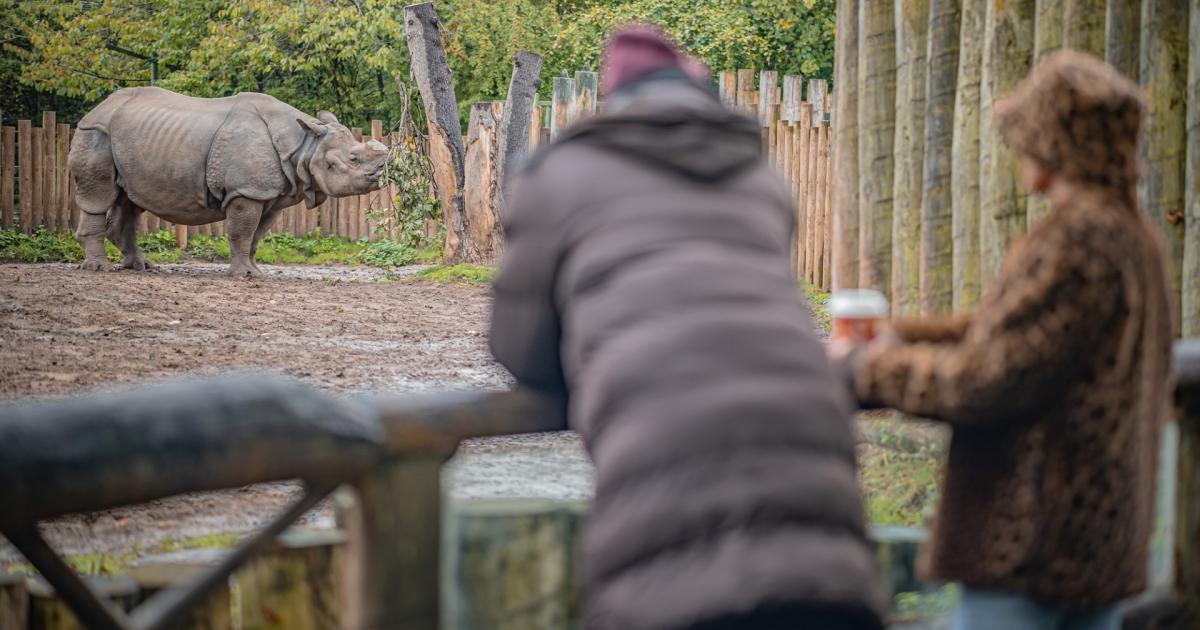 Universal Credit families offered special Chester Zoo price