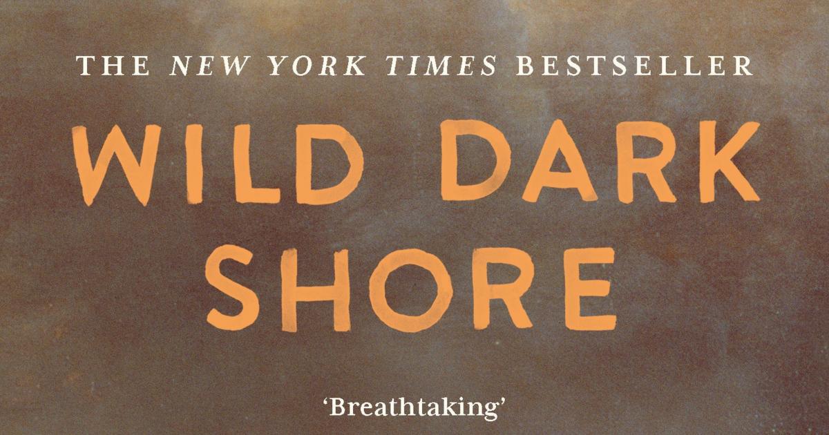 Our favourite reads of 2025 with monthly highlights