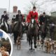 Trail hunting ban: The Holcombe Hunt club speaks out