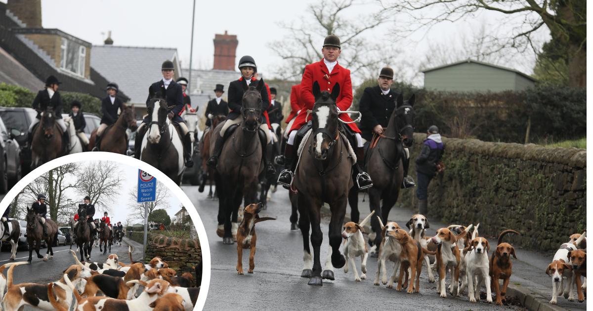 Trail hunting ban: The Holcombe Hunt club speaks out