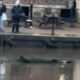 'Creature' spotted in River Ouse in York city centre