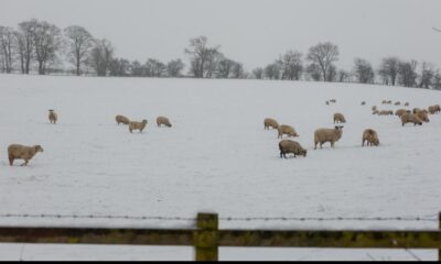 Gainford near Darlington was once England's coldest place