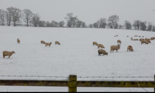 Gainford near Darlington was once England's coldest place