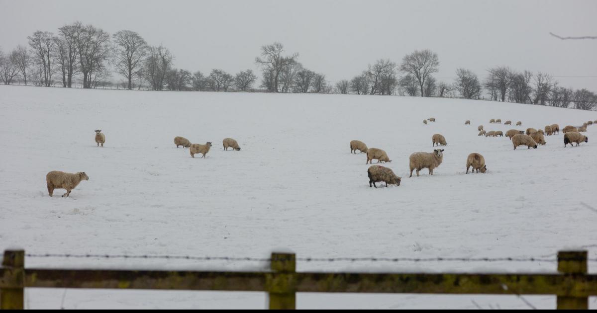 Gainford near Darlington was once England's coldest place