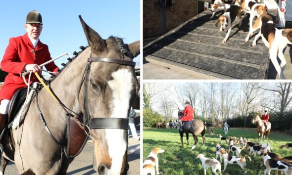 Trail hunting ban: Holcombe Hunt Boxing Day event returns