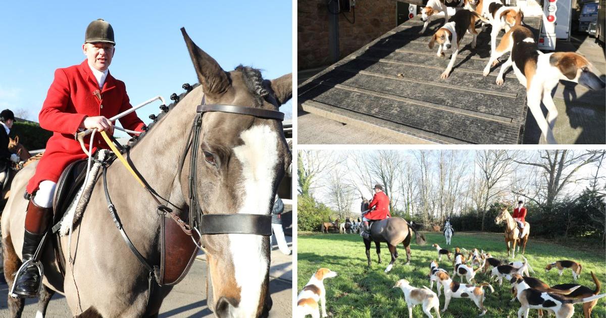 Trail hunting ban: Holcombe Hunt Boxing Day event returns
