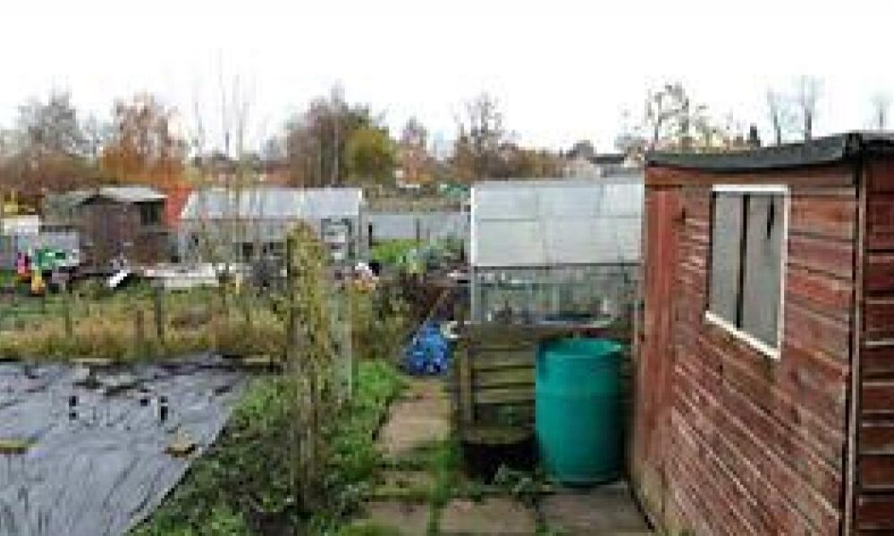 Attempted break in at Green Lane allotments in Acomb