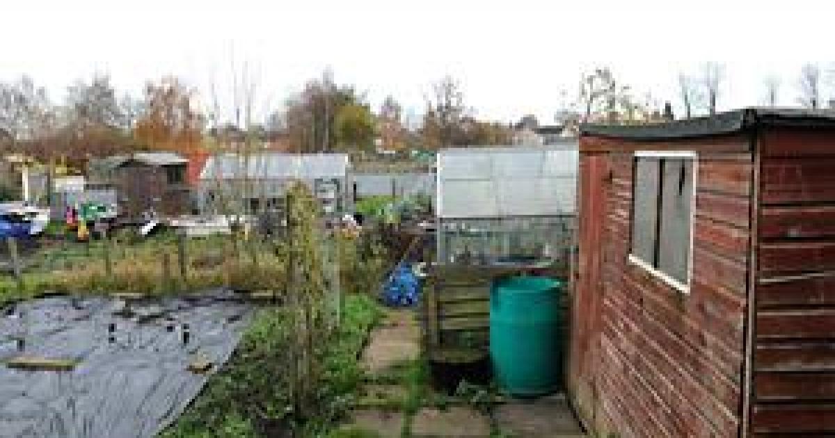 Attempted break in at Green Lane allotments in Acomb