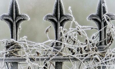 Met Office and BBC give their predictions for new year
