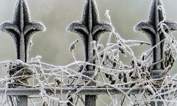 Met Office and BBC give their predictions for new year