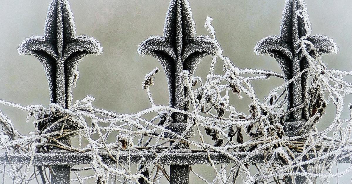 Met Office and BBC give their predictions for new year