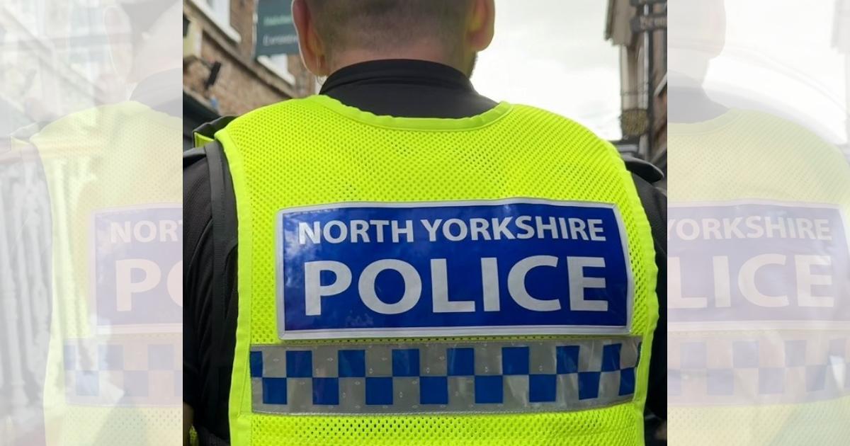 Boroughbridge: Dog kicked unconscious in canal attack