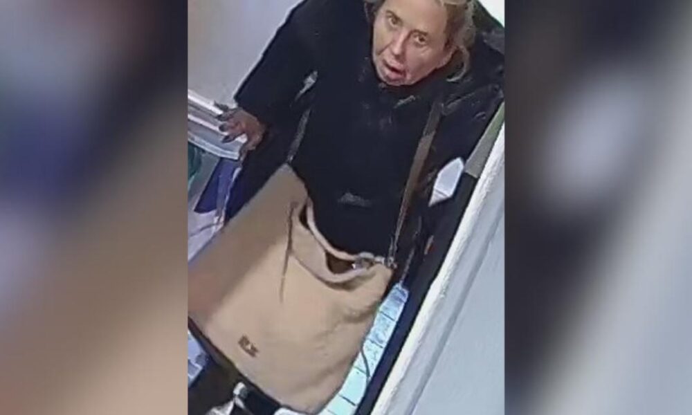 CCTV images: North Yorkshire Police theft investigation