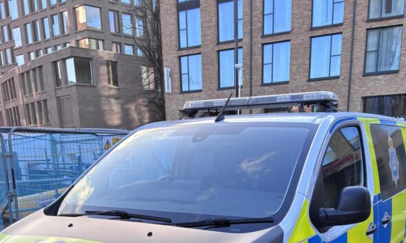 Dog walker attacked in York