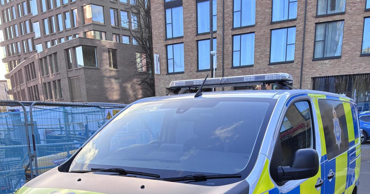 Dog walker attacked in York