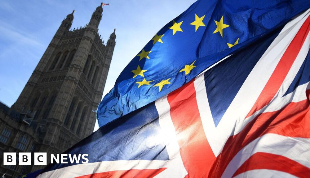 Thirteen Labour MPs vote for talks on joining EU customs union