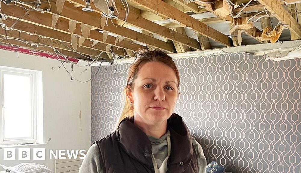 Flat-owner says building work by freeholder has left her homeless