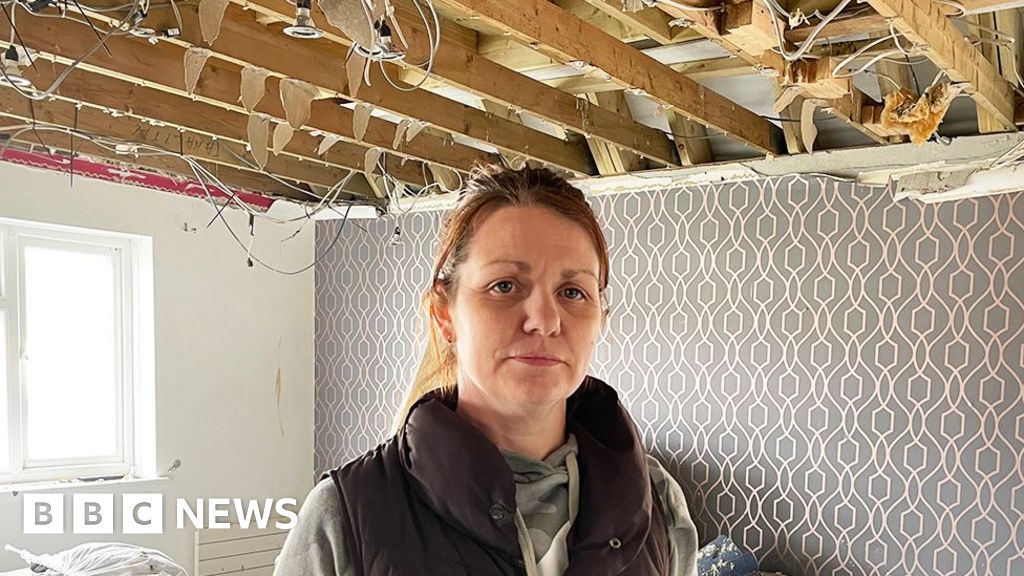 Flat-owner says building work by freeholder has left her homeless