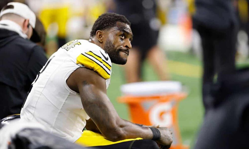 NFL to rule on fan altercation as Pittsburgh Steelers WR lashes out