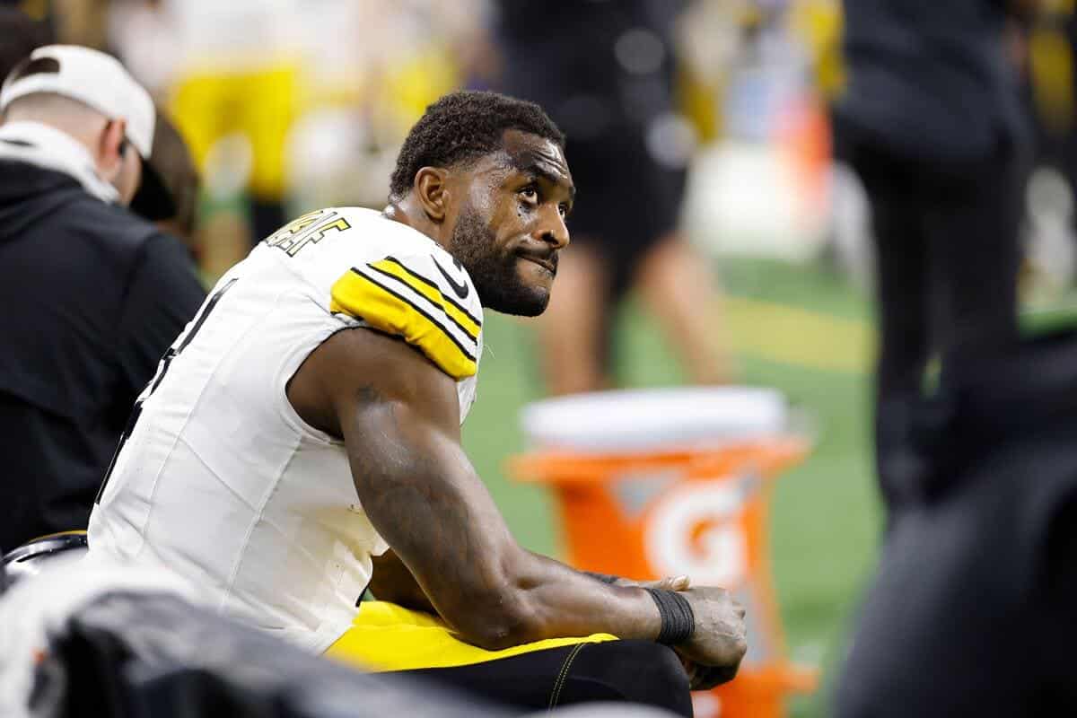 NFL to rule on fan altercation as Pittsburgh Steelers WR lashes out