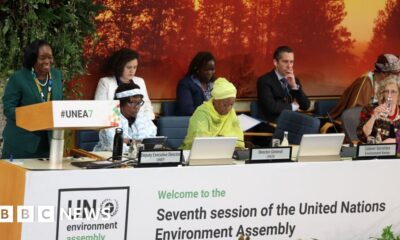 UN environment report 'hijacked' over fossil fuels