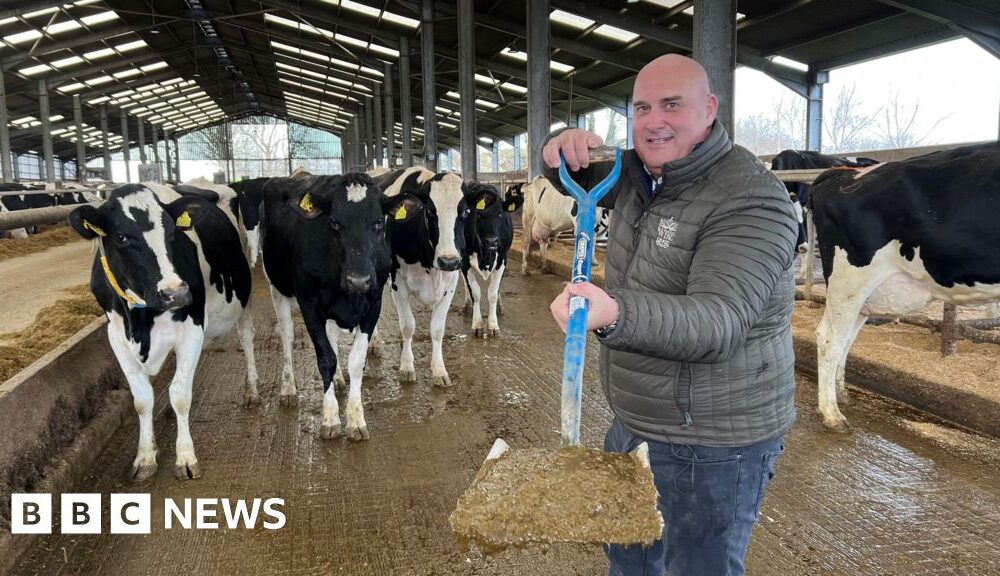 How many UK homes could be heated from cow manure?