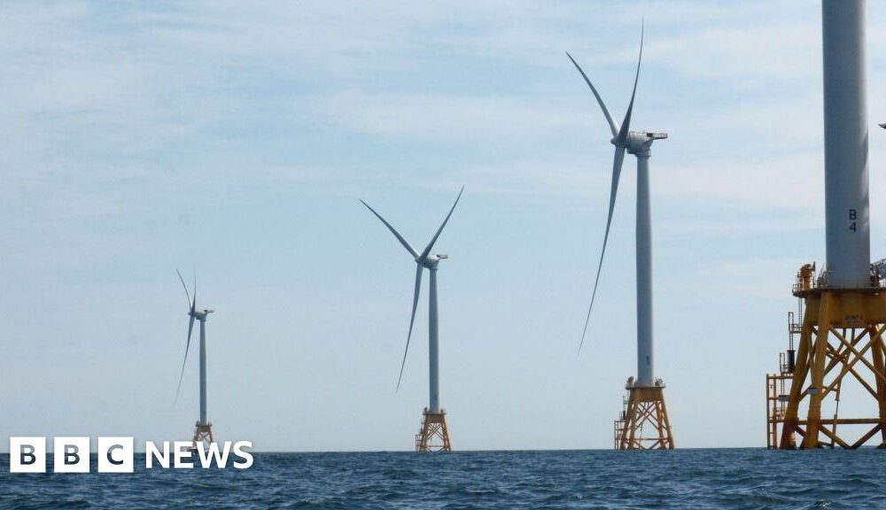 President Trump's ban on wind energy permits 'unlawful', court rules