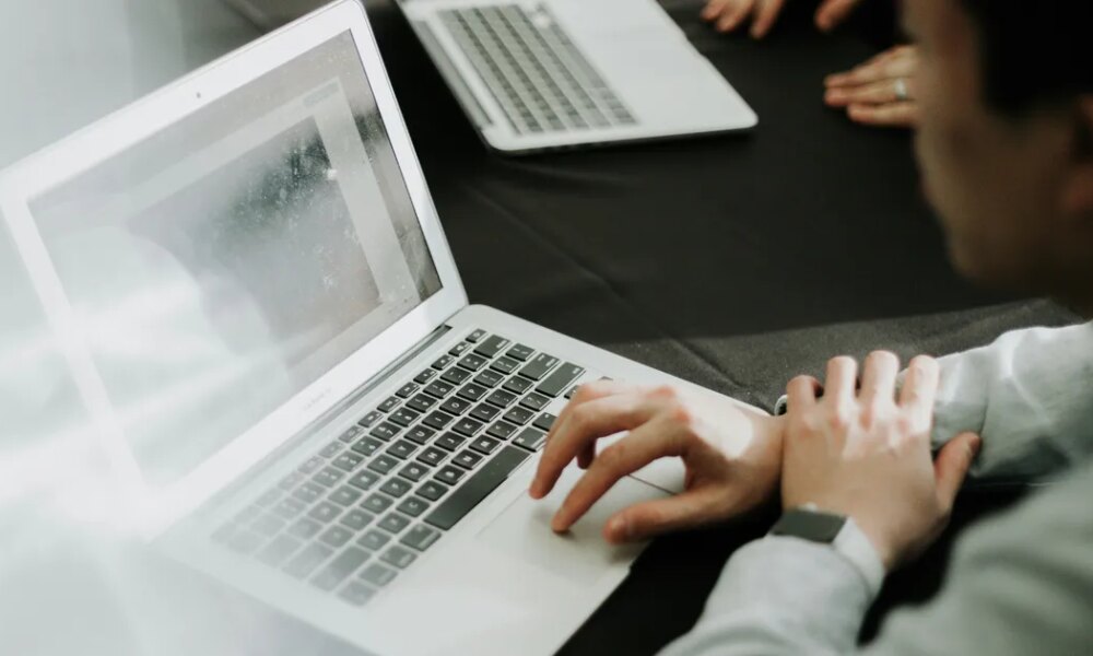 What Is 'Lily Padding'? 2025's Unexpected Career Trend