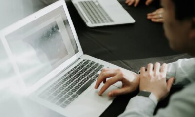 What Is 'Lily Padding'? 2025's Unexpected Career Trend